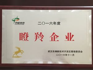 武汉新特光电入选光谷2016年“瞪羚企业”