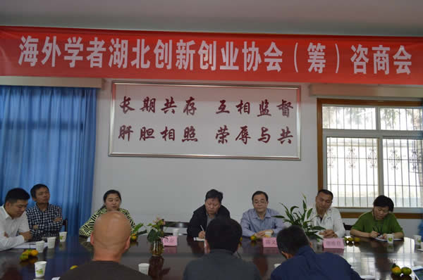 陈义红出席海外学者湖北创新创业协会（筹）咨商会