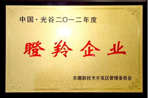 武汉新特光电成功入选2012年度瞪羚企业