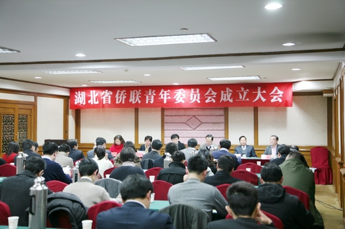 陈义红出席湖北省侨联青年委员会成立大会