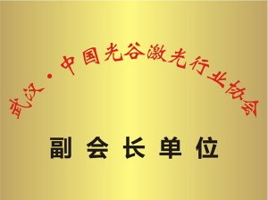 中国光谷激光行业协会副会长单位